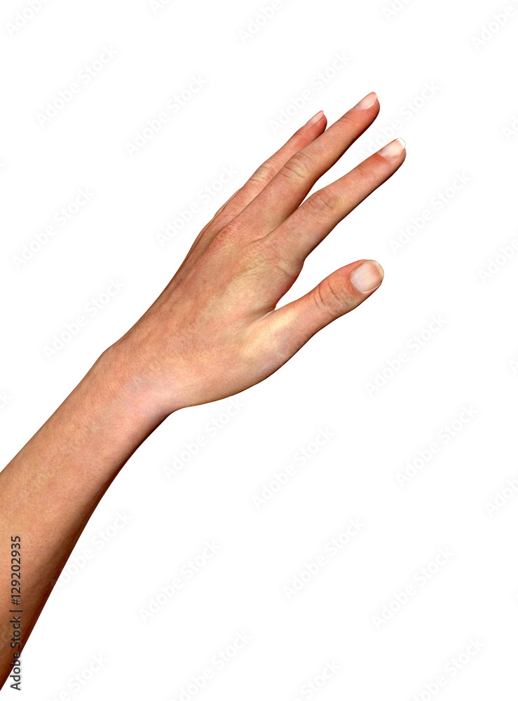 3d render of a female hand isolated on black