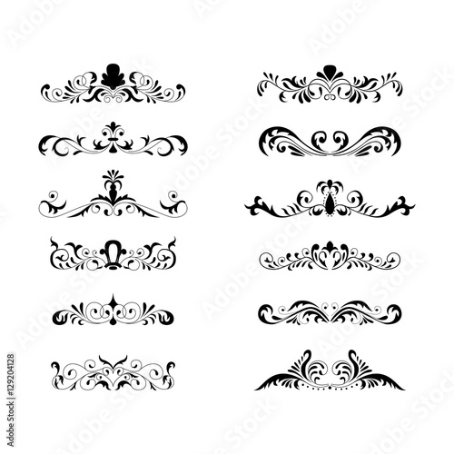 Floral decorative design element collection vintage style traced by hand from own sketch. Dividers set.