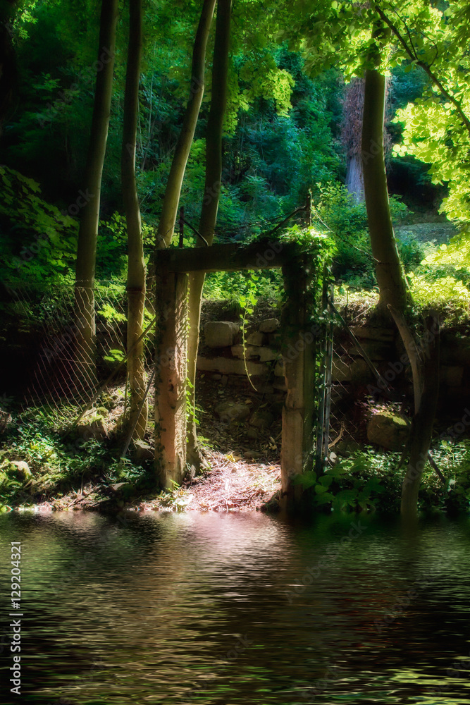 Obraz premium Portal dreamy scene in forest at lake