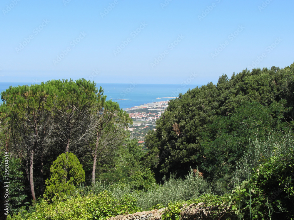 Panoramic aerial glimpse into the vegetative landscape of Livorno city from the nearby hills of Montenero , Tuscany Italy