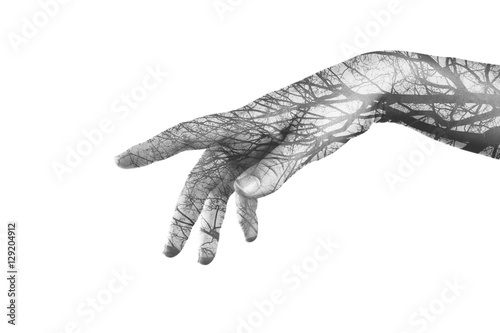 Canvastavla Hand and tree. Double exposure