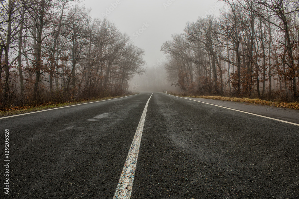 Autumn road and fog 