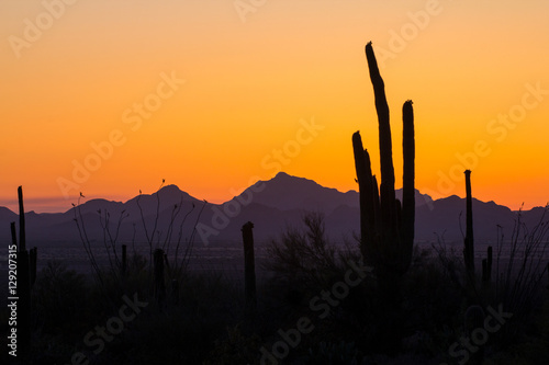 Sunset at Saguaro National Park, Arizona