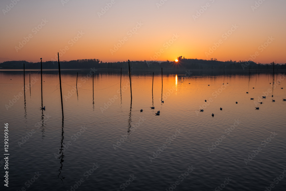 Obraz premium Sonnenuntergang am Pfäffikersee