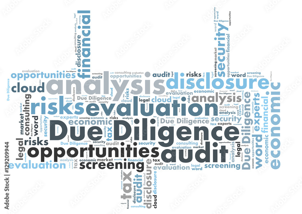 Due Diligence word cloud