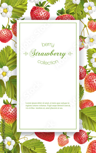 Strawberry vertical banner