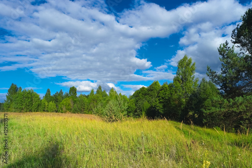 Beautiful summer scenery with trees  grass and blue cloudy sky. Scenic natural landscape.