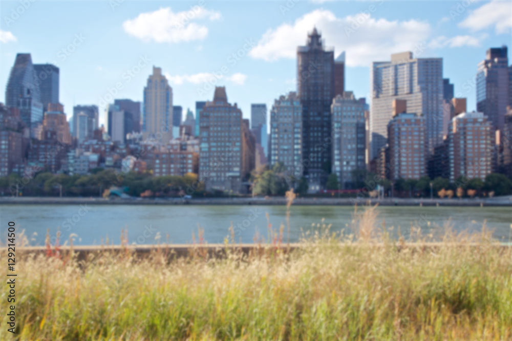 Naklejka premium Manhattan Skyline from Roosevelt Island Blur