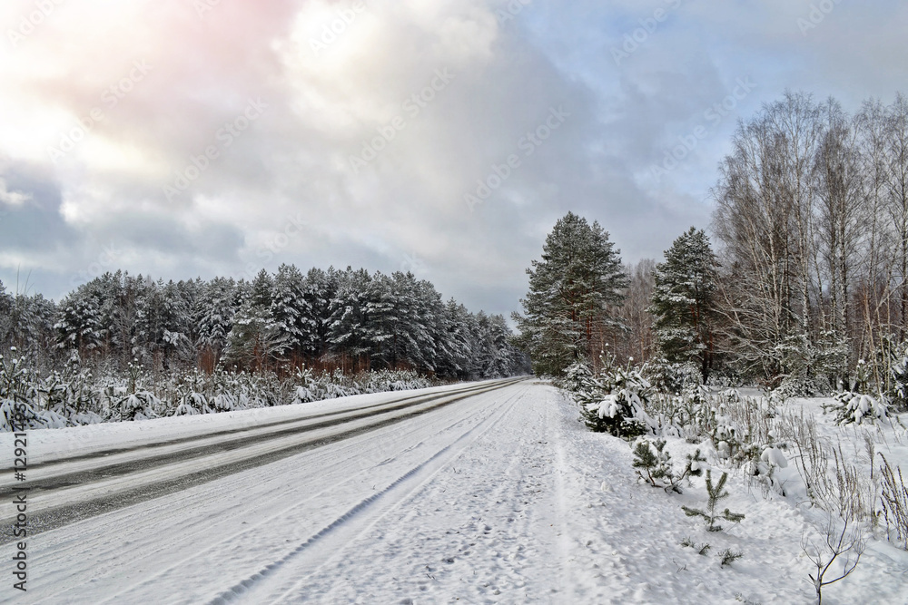 forest in the frost. Winter landscape. Snow covered trees. forest in the frost. Winter landscape. Snow covered trees.