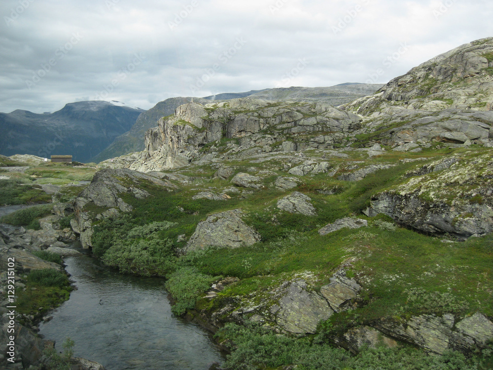 Bachlauf in der Natur Norwegen umgeben von Bergen