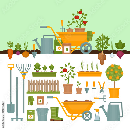 Vegetable garden. Garden tools. Banner with vegetable garden. Flat style, vector illustration. 