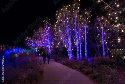 Walk through the lights