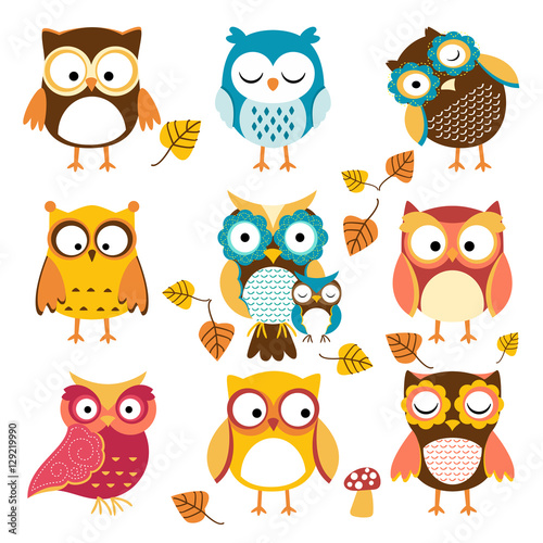 pattern owl