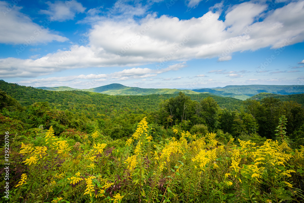 View from Highway 181, in Pisgah National Forest, North Carolina