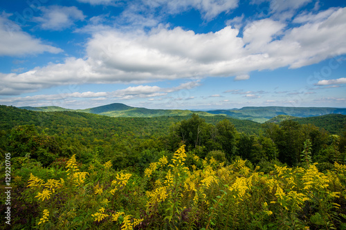 View from Highway 181, in Pisgah National Forest, North Carolina