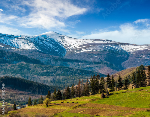 snowy tops of carpathians in spring © Pellinni