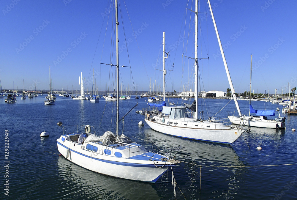Sailboats moored in a San Diego marina