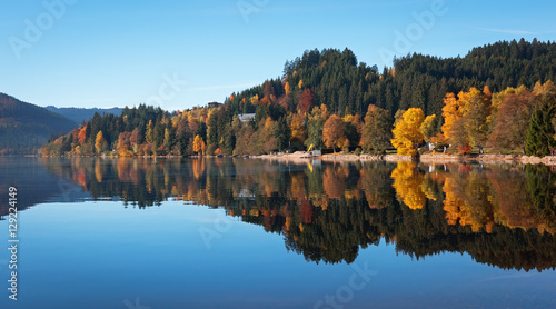 Autumn forest reflected in the surface of the lake Titisee, Germ