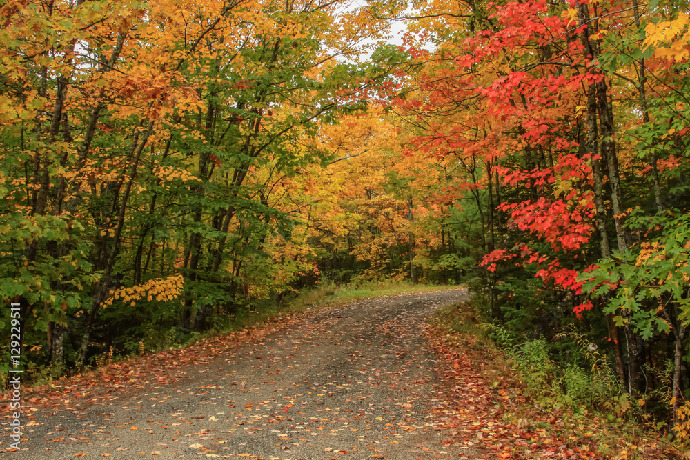 Obraz premium Autumn road