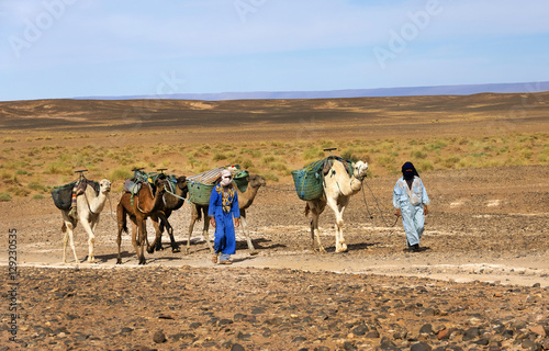 Caravan in Sahara Desert, Africa