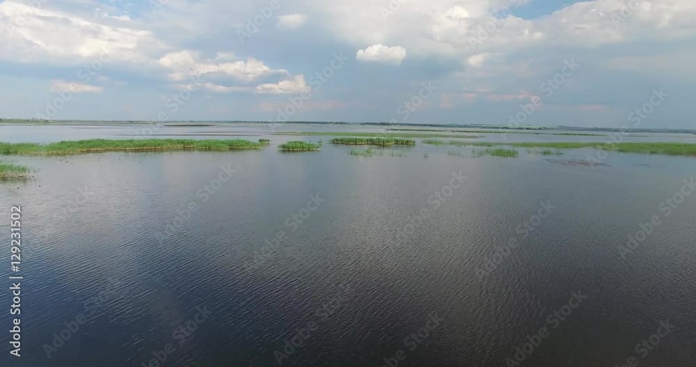 Spill wide river with islands of reeds and wild ducks Spill wide river with islands of reeds and wild ducks