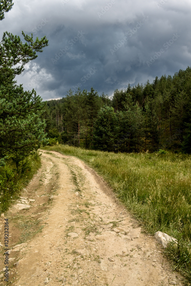 Path near a forest with dark clouds just before summer storm