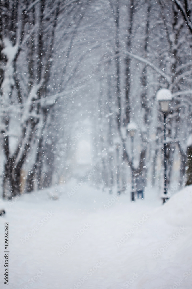 Alley in the Park, snow covered trees, very blurred image, theme background Alley in the Park, snow covered trees, very blurred image, theme background