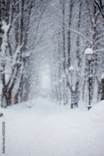 Alley in the Park, snow covered trees, very blurred image, theme background