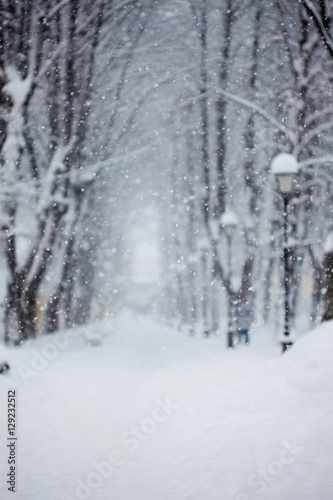 Alley in the Park, snow covered trees, very blurred image, theme background