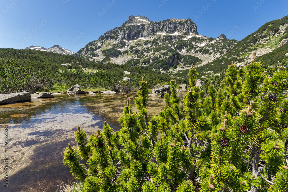 Green hills, Dzhangal peak and Banski lakes, Pirin Mountain, Bulgaria