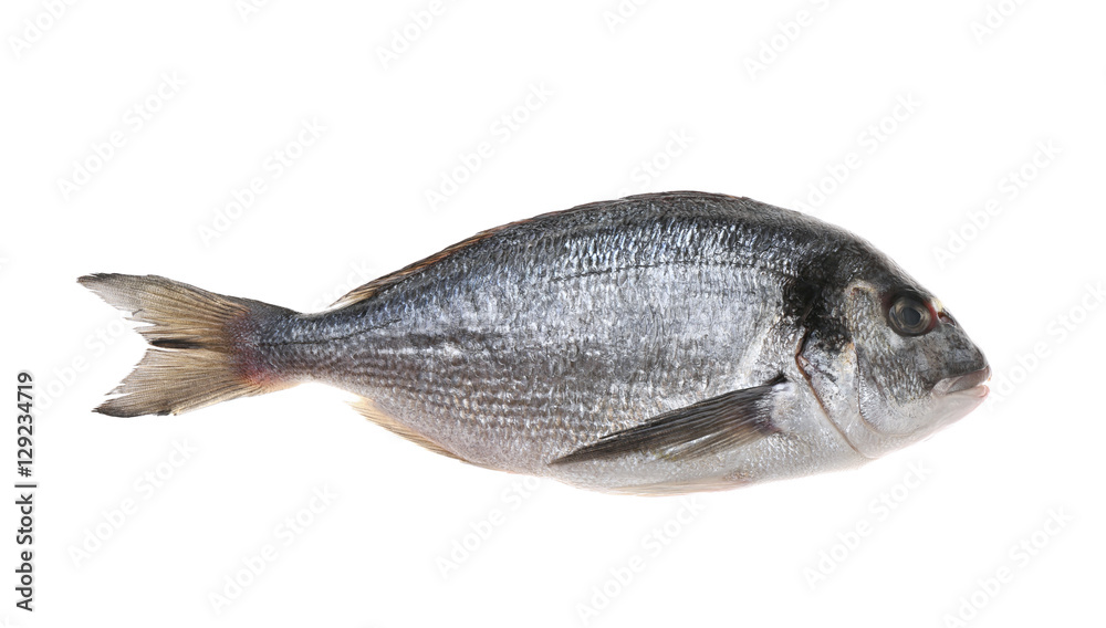 Raw fish, isolated on white Raw fish, isolated on white