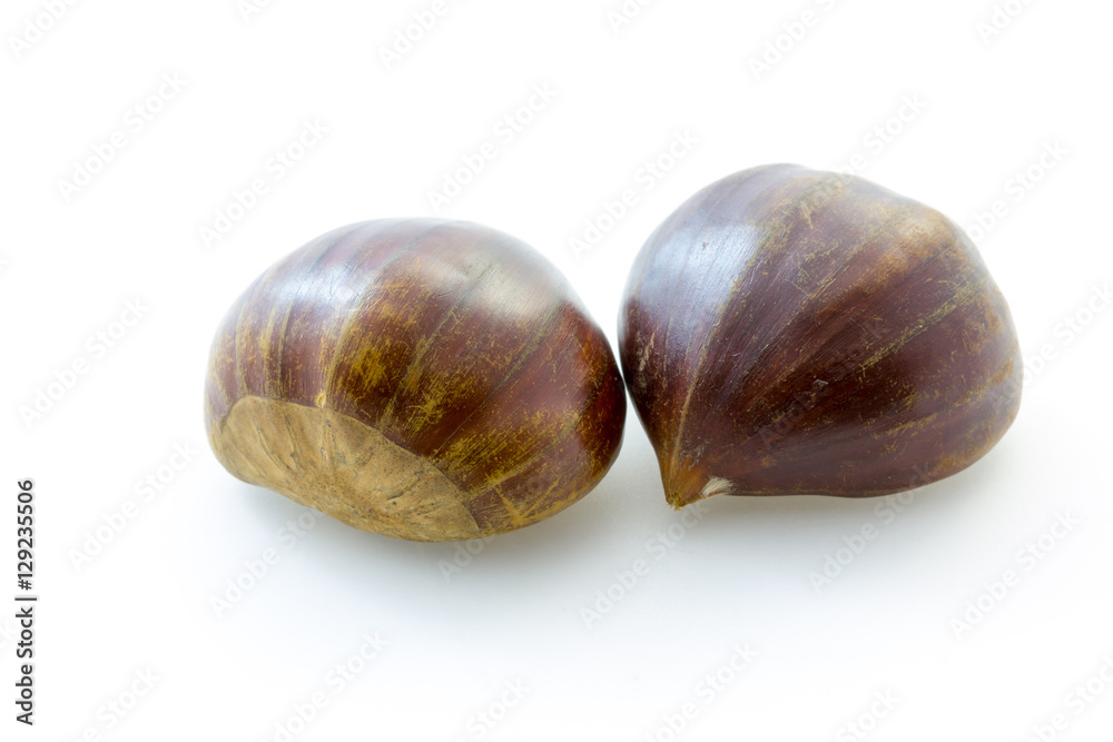 Two tasty uncooked chestnuts with white background Two tasty uncooked chestnuts with white background