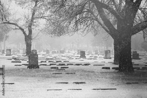 Cemetery in snow photo