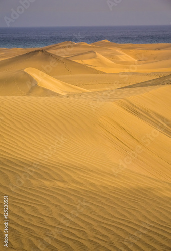 Stunning sand dunes in Maspalomas