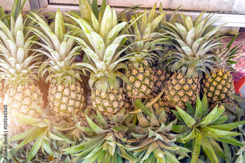 Fototapeta premium Many pineapple on shelf