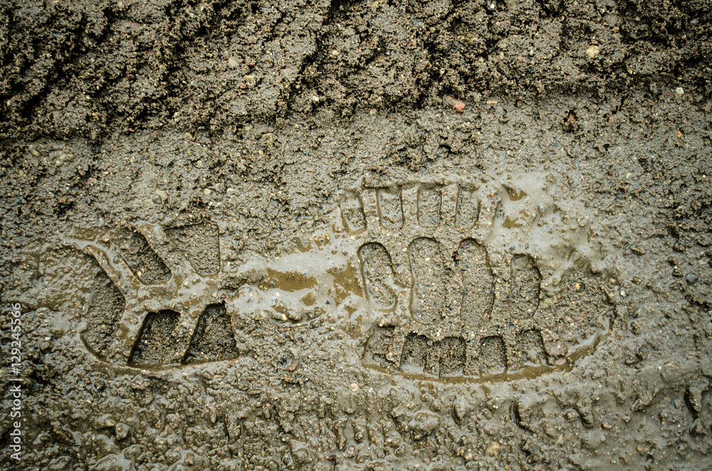 Shoe Print In Dirt