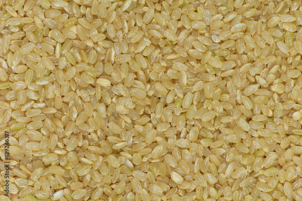 Japan Coarse rice background, Japan brown rice for eating healthy Japan Coarse rice background, Japan brown rice for eating healthy