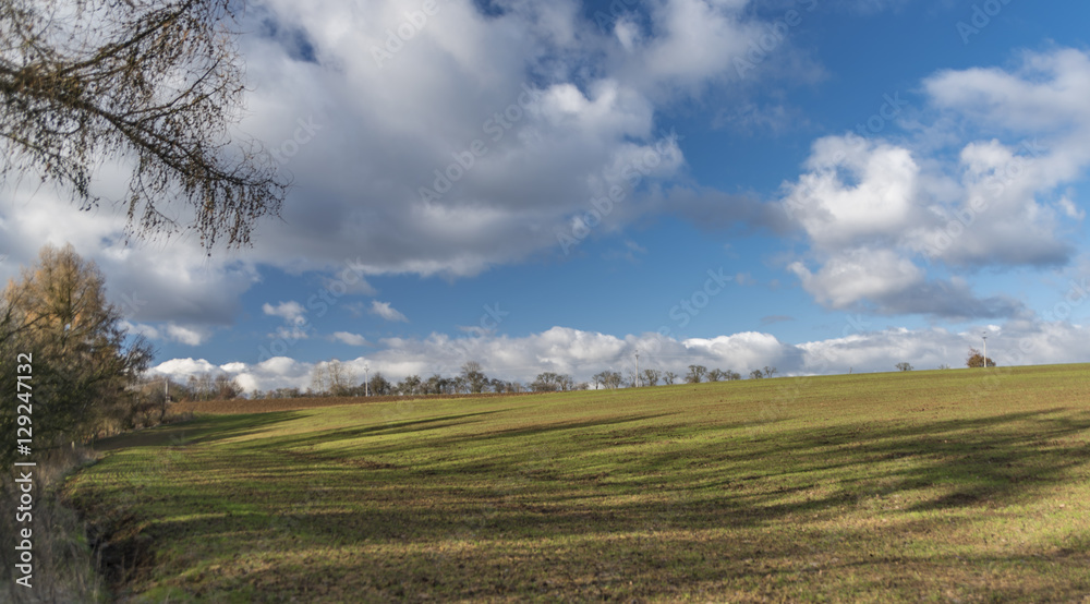Green field with blue sky and white clouds Green field with blue sky and white clouds