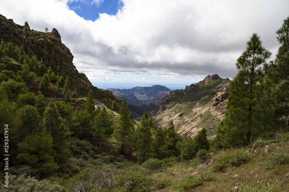 View down the valley with trees and a winding road near Roque Nublo, Gran Canaria