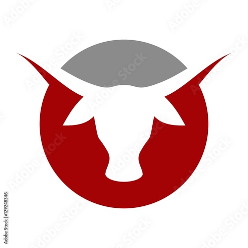head of cow