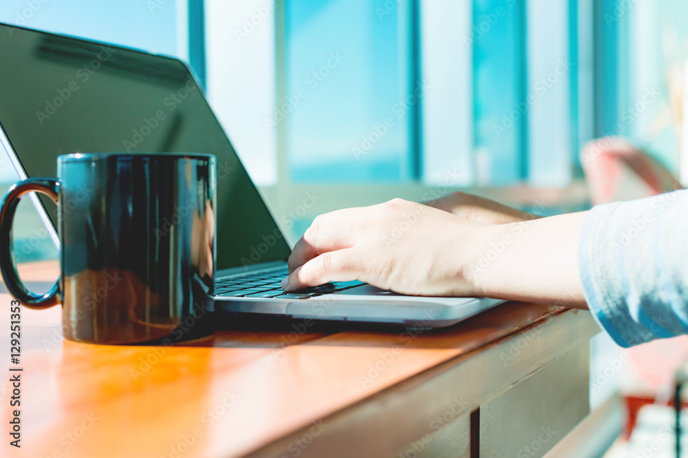 Fototapeta premium Woman working on a laptop in a bright room