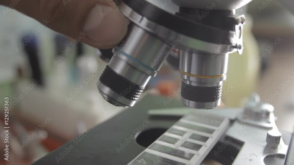 Microscope Laboratory Analysis Bacterial colonies in Petri plates. Medical tests and research. Microscope Laboratory Analysis Bacterial colonies in Petri plates. Medical tests and research.