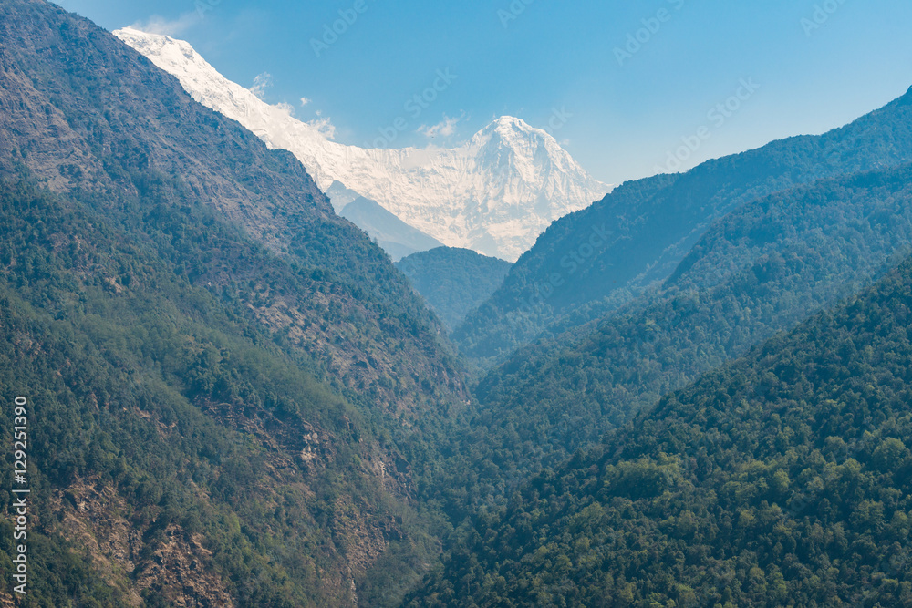 Himchuli peak (6441m) in Annapurna region of Nepal.