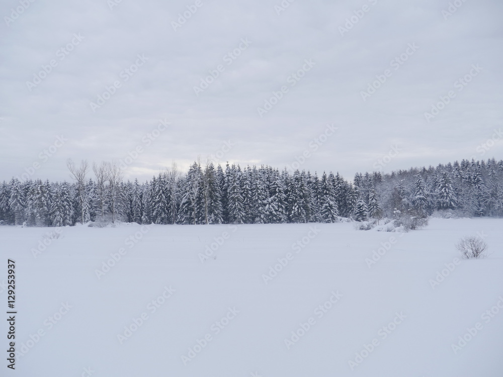 snow landscape winter snow landscape winter
