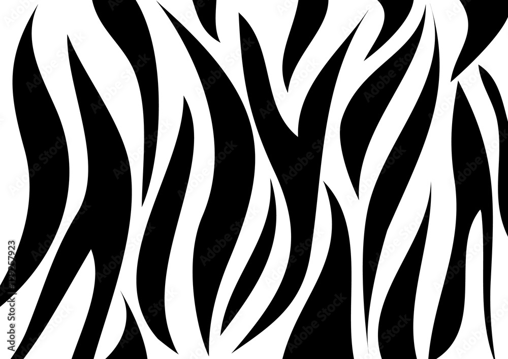 zebra pattern vector