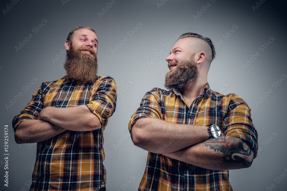 Two funny bearded men dressed in a plaid shirt posing on grey ba Stock  Photo | Adobe Stock