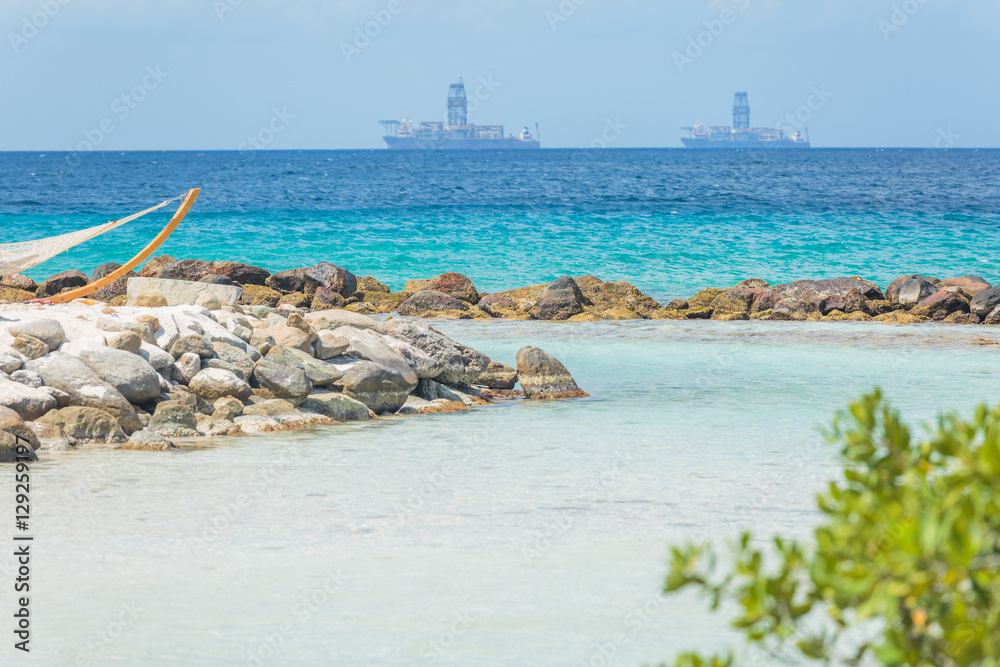 Fototapeta premium Flamingo beach at Aruba island