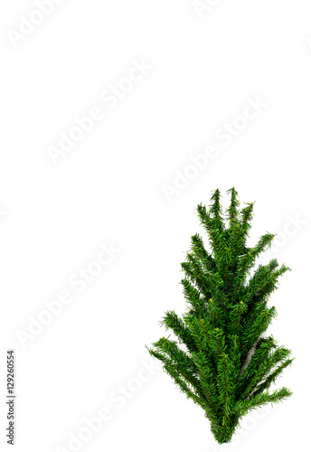 top of artificial Christmas tree on white background  copy space