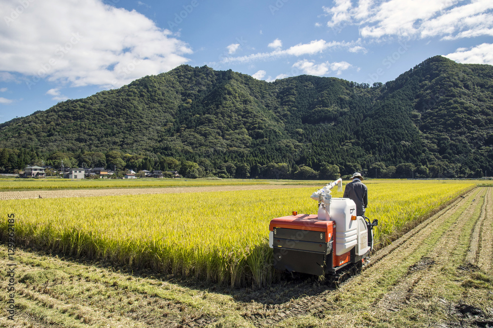 Obraz premium 稲刈り風景と耕運機