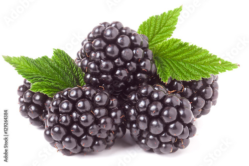 pile of blackberry with leaves isolated on white background